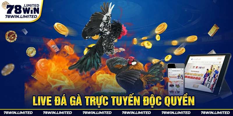 Độc quyền live đá gà trực tuyến